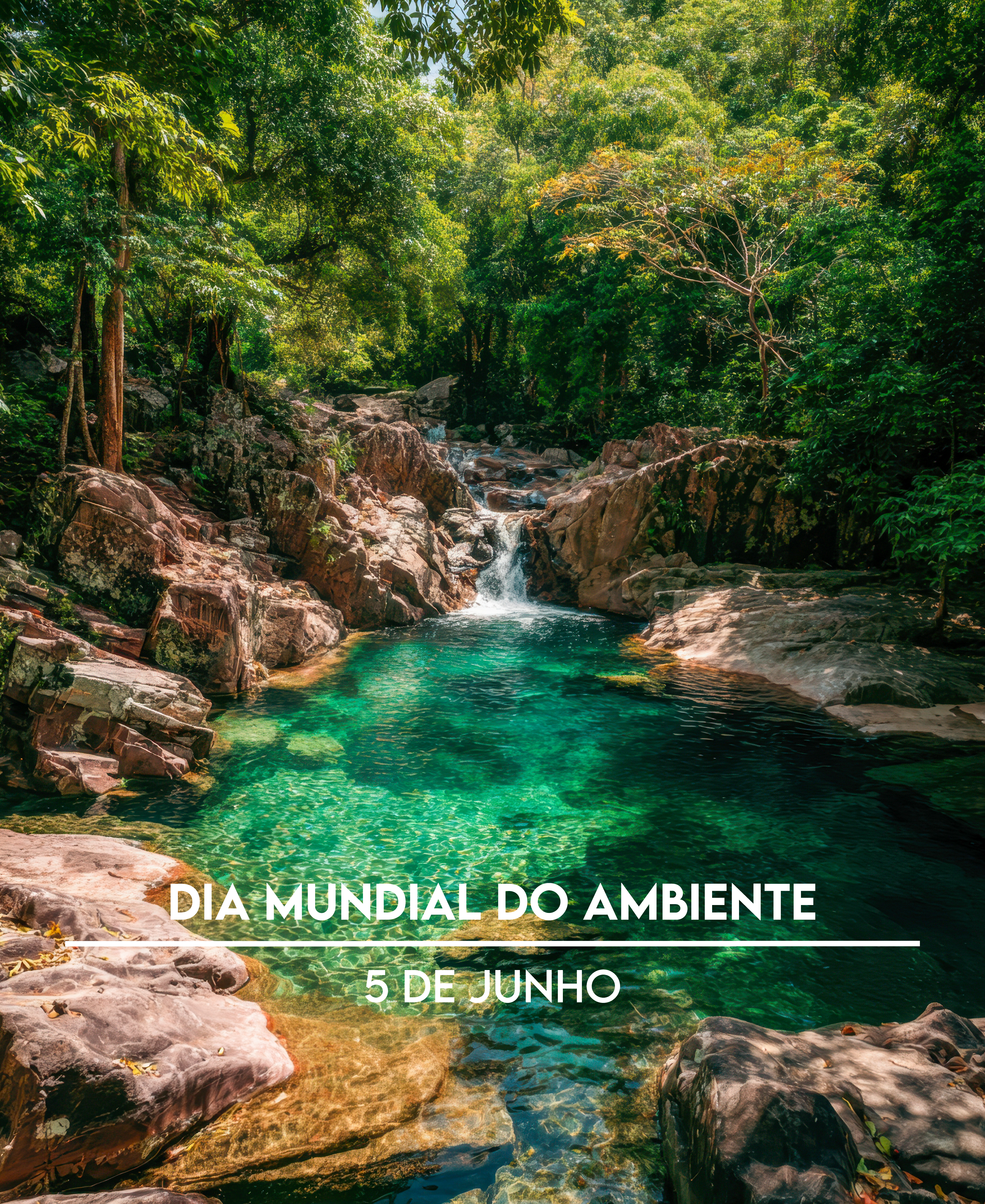 Farmácia Medeiros - Seasonal Content